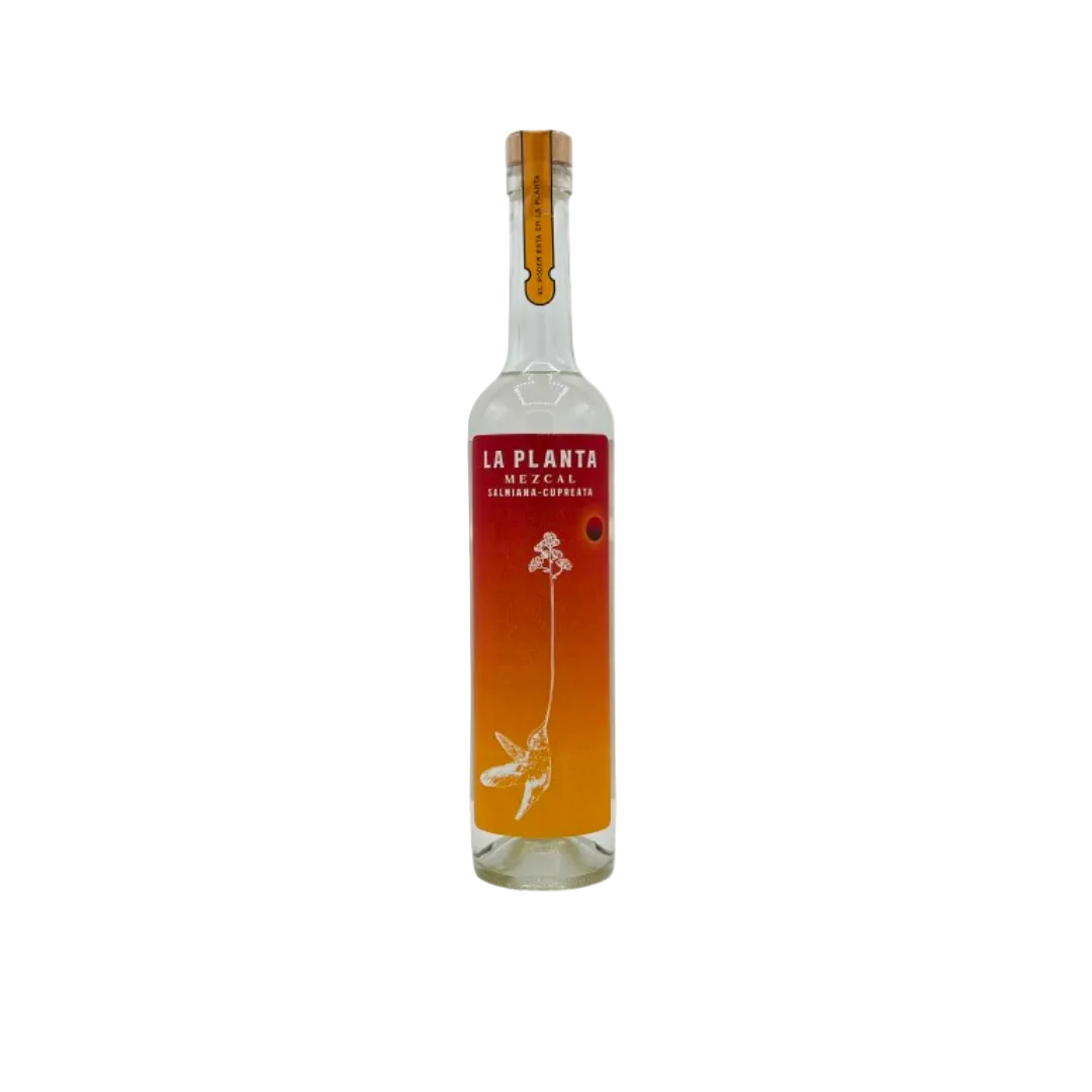 Mezcal salmiana-cupreata